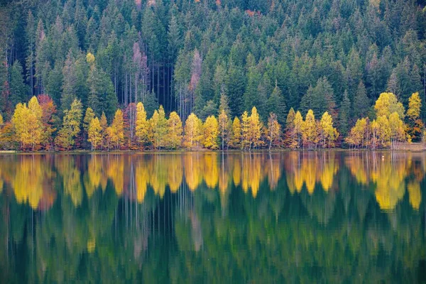 Eine Malerische Aufnahme Von Vergilbten Bäumen Die Sich Wasser Des — Stockfoto