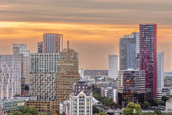 Skyline Rotterdam Cityscape Nederländerna Vid Solnedgången Visar Skyskrapor Och Kontorsbyggnader — Stockfoto