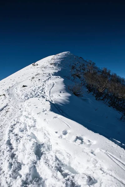 Plano Vertical Del Monte San Primo Cubierto Nieve Invierno —  Fotos de Stock