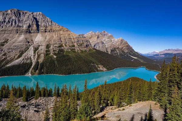 Nádherný Výhled Průzračné Horské Jezero Obklopené Věčně Zeleným Lesem Skalnatými — Stock fotografie