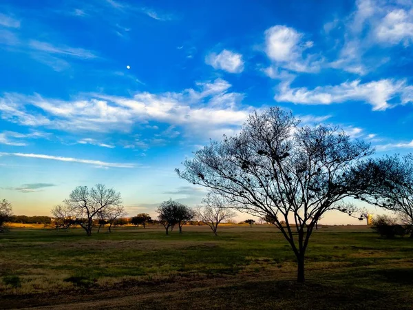 Een Prachtig Landschap Met Bomen Tegen Blauwe Lucht Achtergrond — Stockfoto