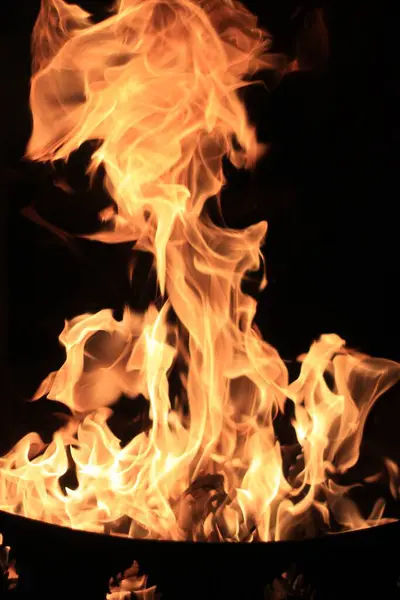 夜间森林中篝火的垂直射击 — 图库照片