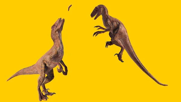 Uma Renderização Dinossauros Velociraptor Pegando Sua Presa Isolada Fundo Amarelo — Fotografia de Stock
