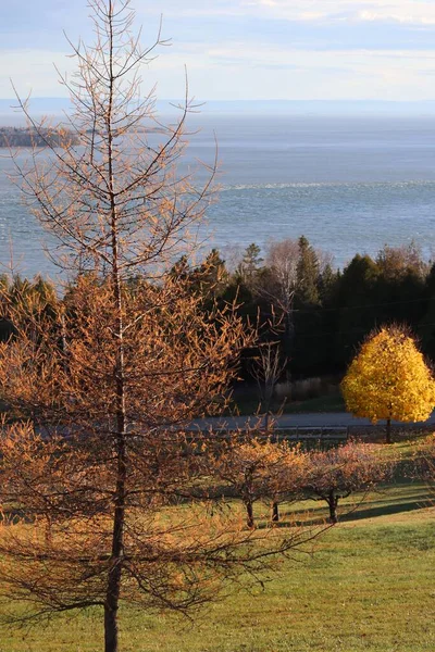 Jesienny Krajobraz Jeziorem Tle — Zdjęcie stockowe