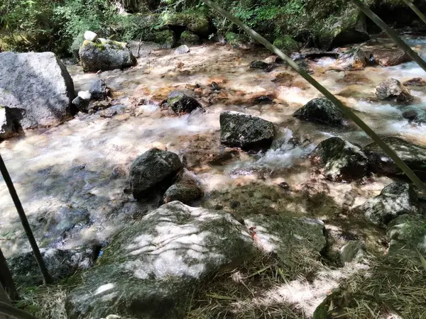 Rotsachtige Mossige Stenen Beekje Het Bos Met Zonlicht — Stockfoto