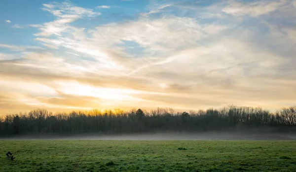 Ein Malerischer Blick Auf Einen Morgennebel Über Dem Feld Mit — Stockfoto