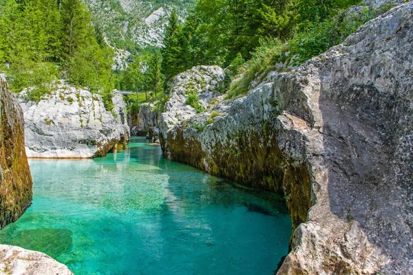 Gyönyörű Smaragd Színű Víz Szlovéniai Nagy Soca Szurdokban Buja Fák — Stock Fotó