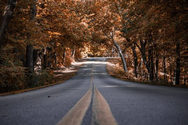 Droga Szosowa Między Drzewami Słoneczny Jesienny Dzień — Zdjęcie stockowe