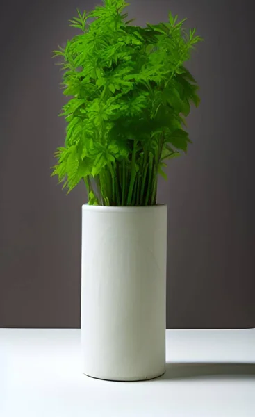 Una Pianta Fresca Vaso Con Foglie Verde Brillante Appoggiate Sul — Foto Stock