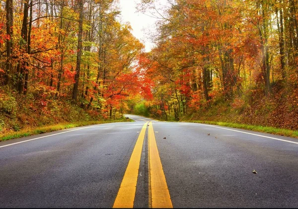 Leere Bergstraße Herbst Leuchtende Herbstfarben Auf Den Blättern Landstraße Nordgeorgien — Stockfoto