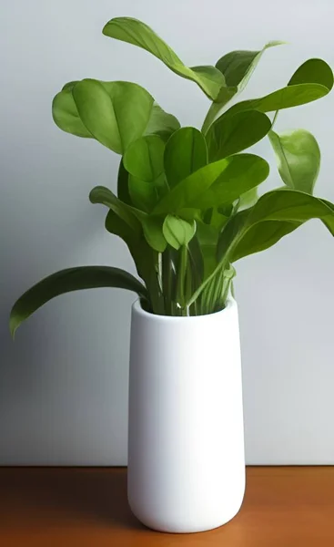 Uma Planta Fresca Potenciômetro Com Folhas Verdes Brilhantes Colocadas Mesa — Fotografia de Stock