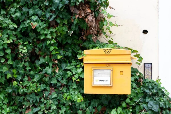 Krásný Záběr Žluté Poštovní Schránky Obklopené Zelenými Listy — Stock fotografie