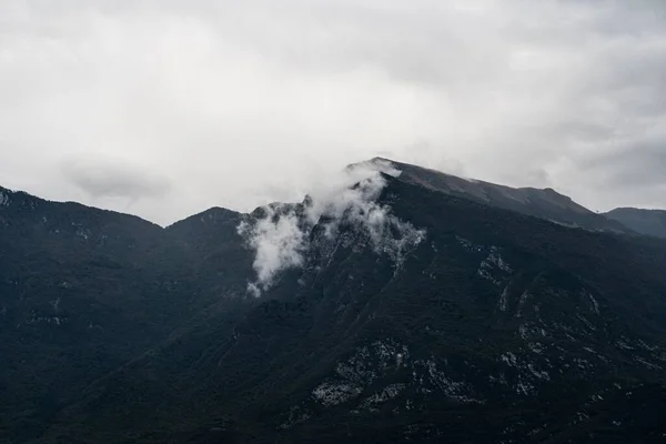 Dağların Yakınındaki Güzel Bir Ormanın Havadan Görünüşü — Stok fotoğraf