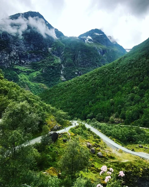 Egy Függőleges Lövés Erdők Hegyek Alatt Felhős Norvégiában — Stock Fotó