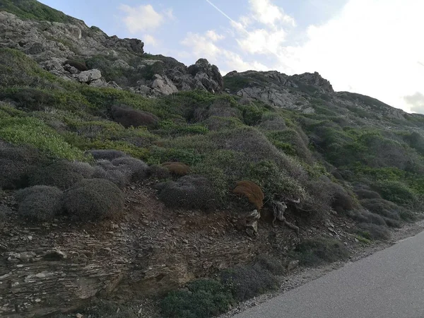 Die Felsige Seitenstraße Nahe Der Insel Menorca — Stockfoto