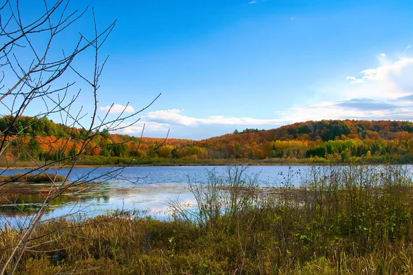 Uma Paisagem Cênica Com Lago Cercado Por Árvores Outono — Fotografia de Stock