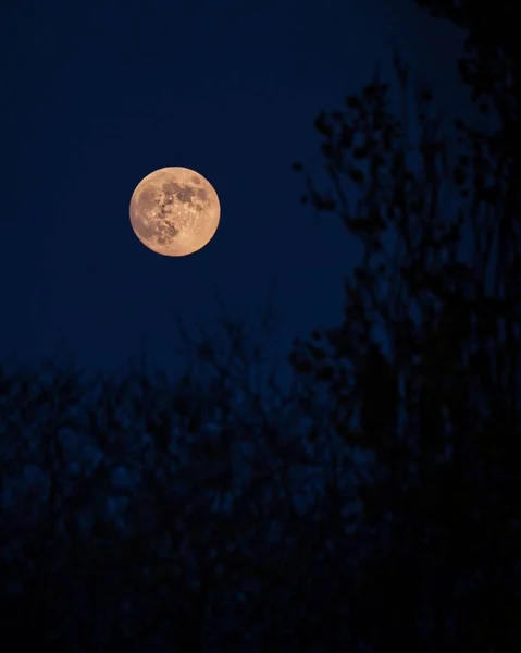 어두운 하늘에 보름달의 아름다운 — 스톡 사진