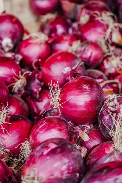Closeup Bunch Onions — Stock Photo, Image