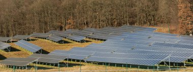 Sahada bir güneş fotovoltaik enerji santrali var. Ormanın yakınındaki çayırdaki güneş panelleri. Yeşil enerji kavramı