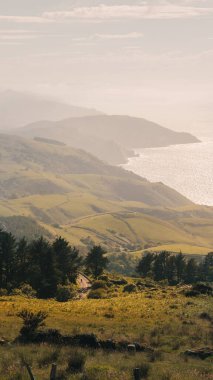 Manzaralı ve yemyeşil bir vadi