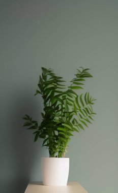 Oturma odasındaki masada duran yeşil yapraklı tencerede taze bir bitki.