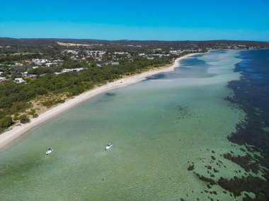 Kırsal kesimde açık, güneşli bir günde yemyeşil bir deniz manzarası.