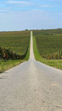 Güneşli bir günde Knezevi Vinogradi 'de ekilen tarlaları ayıran yolun dikey görüntüsü