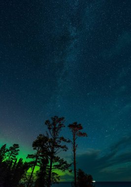 Michigan 'daki Keweenaw Yarımadası, Superior Gölü' ndeki Aurora Borealis 'de yıldızlı gece gökyüzüne karşı dik bir çam ağacı açısı.