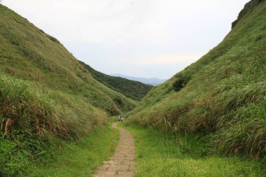 Yeşil bir dağ manzarasının güzel bir görüntüsü.