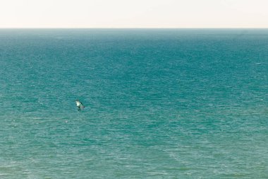 Kanarya Adaları 'nda tatildeyken sakin turkuaz deniz manzarasında sörf yapan bir insan.