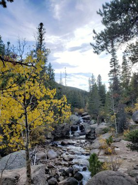 Şelale köknar ağaçlarıyla çevrili küçük gölete akıyor.