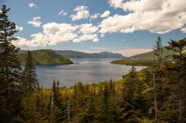 Vadiden ve ormanlardan akan geniş bir nehir.