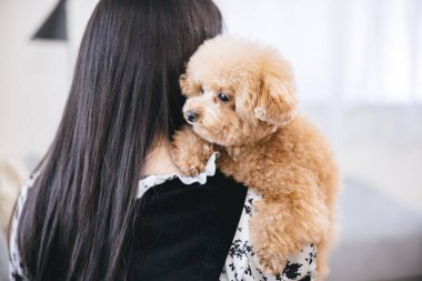 Şirin pofuduk oyuncak bir kanişin sahibine sarılışının yakın çekimi.