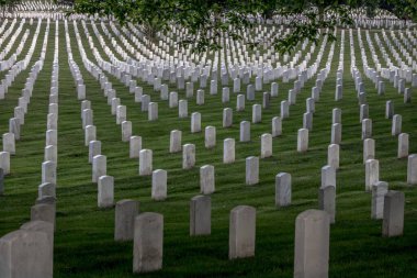 Washington 'daki Arlington Ulusal Mezarlığı' nda mükemmel organize edilmiş beyaz bir mezar.
