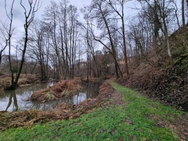 Bir sonbahar günü ağaçlarla çevrili bir nehrin manzaralı bir görüntüsü.