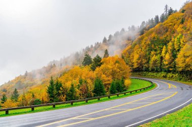 ABD 'nin NC kentindeki Blue Ridge Parkway' in manzaralı sonbahar manzarası
