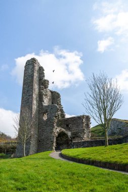 Drogheda, İrlanda 'daki Old Mellifont Manastırı' nın güzel bir resmi.