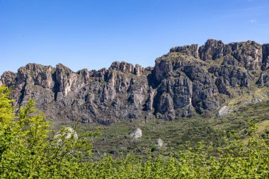 Güneşli bir günde, arka planda kayalık bir dağ bulunan Somiedo Doğal Parkı 'nda muhteşem bir orman manzarası ve çimenli yamaçlar.