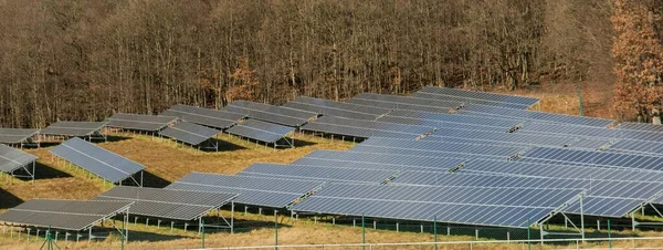 A solar photovoltaic power plant on the field. Solar panels on the meadow near the forest. Green energy concept