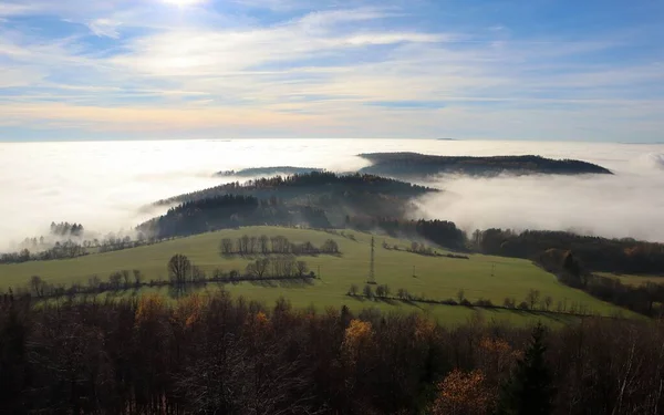 Plano Vertical Hermoso Bosque Cerca Las Montañas Radvanice República Checa —  Fotos de Stock