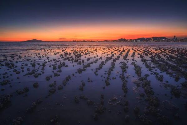 Turuncu Gün Batımını Yansıtan Güzel Bir Göl — Stok fotoğraf