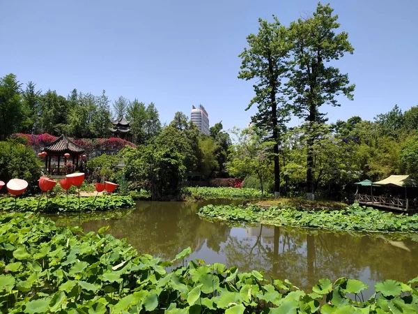 Uma Lagoa Cercada Por Vegetação Verde Exuberante Jardim Asiático — Fotografia de Stock