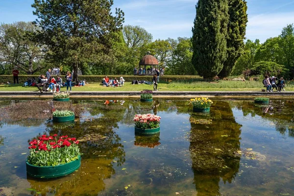 Panoramici Giardini Acquatici Con Tulipani Galleggianti Parco Sigurta Valleggio Sul — Foto Stock