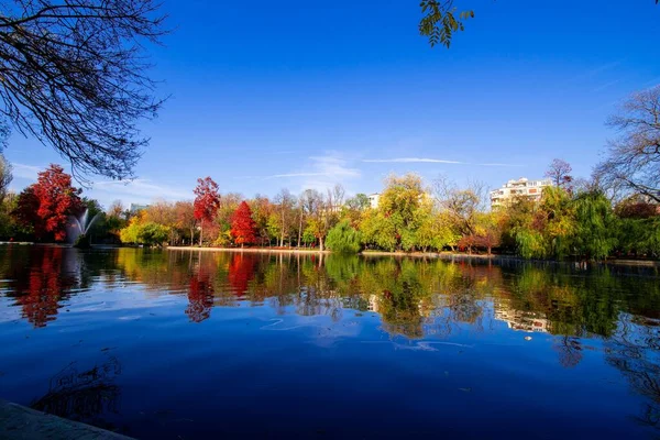 青い空の下の湖の水に反射するカラフルな木々の美しいシーン — ストック写真