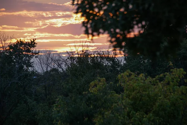 夕暮れ時の森の美しい景色 — ストック写真