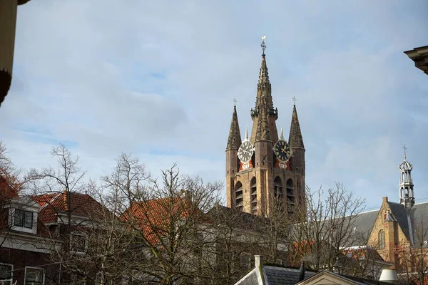 荷兰德尔夫特蓝天背景的古老教堂 前面有一株裸树 — 图库照片