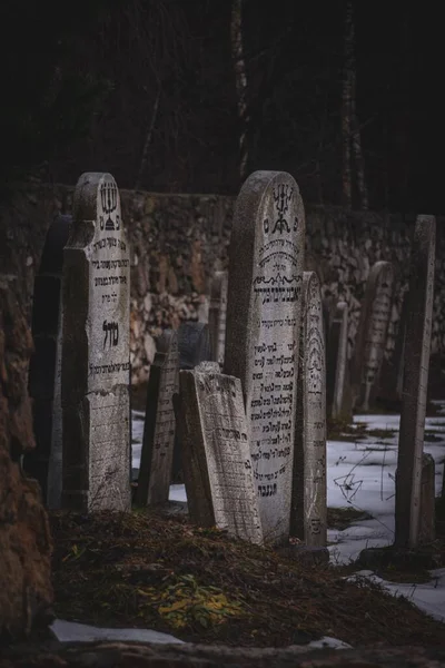 Gündüz Vakti Karla Kaplı Zemin Çıplak Ağaçlarla Mezar Taşlarının Dikey — Stok fotoğraf