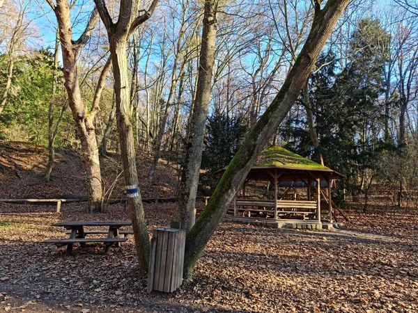 Ein Hölzerner Pavillon Einem Park Der Herbst Von Bäumen Umgeben — Stockfoto