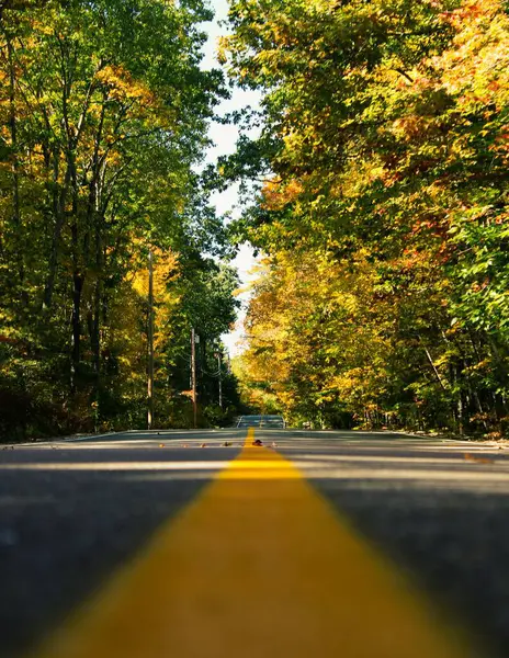 Uma Vertical Uma Linha Amarela Uma Estrada Com Árvores Outono — Fotografia de Stock