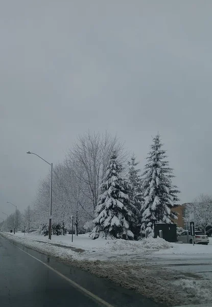 Ένα Όμορφο Χιονισμένο Τοπίο Έναν Άδειο Δρόμο Μια Ομιχλώδη Μέρα — Φωτογραφία Αρχείου